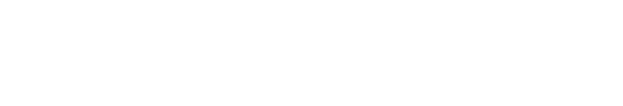 Verkada Horizontal Logo White
